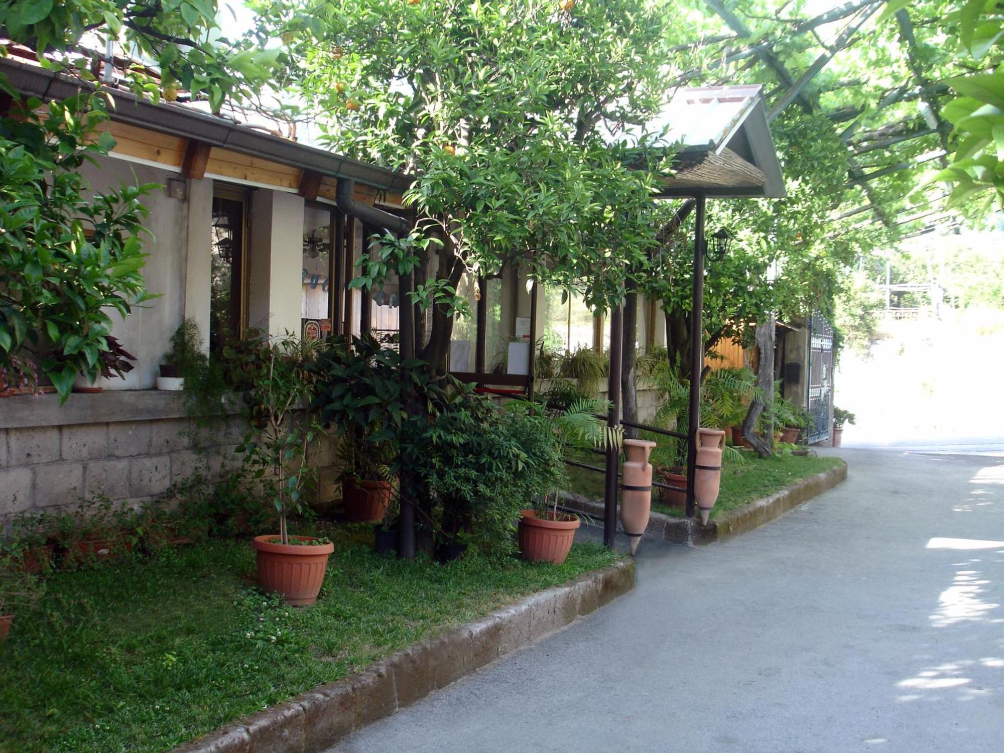 فندق Fiori D'Arancio بيانو دي سورينتو المظهر الخارجي الصورة
