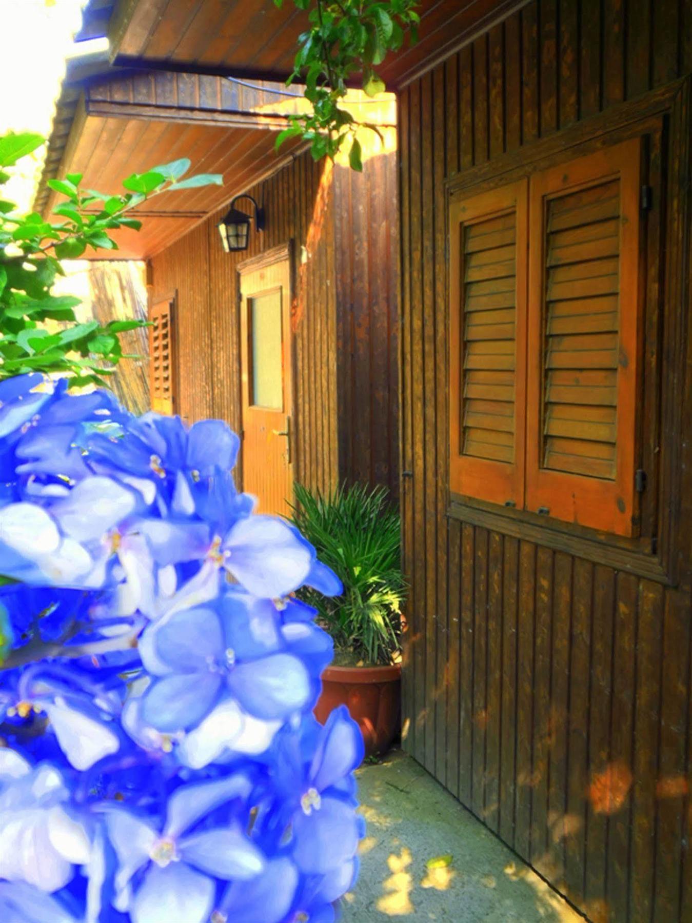 فندق Fiori D'Arancio بيانو دي سورينتو المظهر الخارجي الصورة
